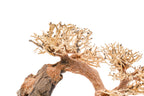 Aquarium Driftwood product image 16