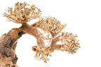 Aquarium Driftwood product image 19