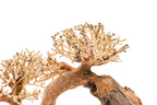 Aquarium Driftwood product image 20