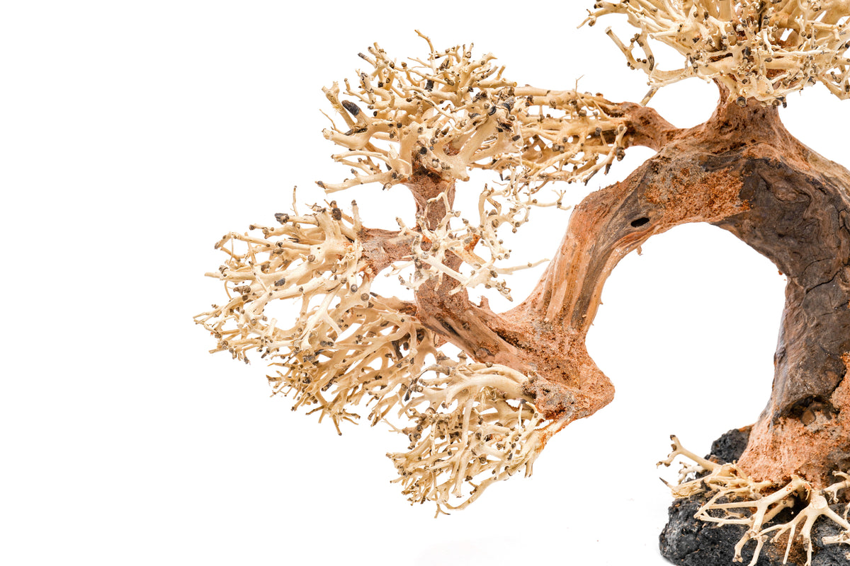 Aquarium Driftwood product image 21