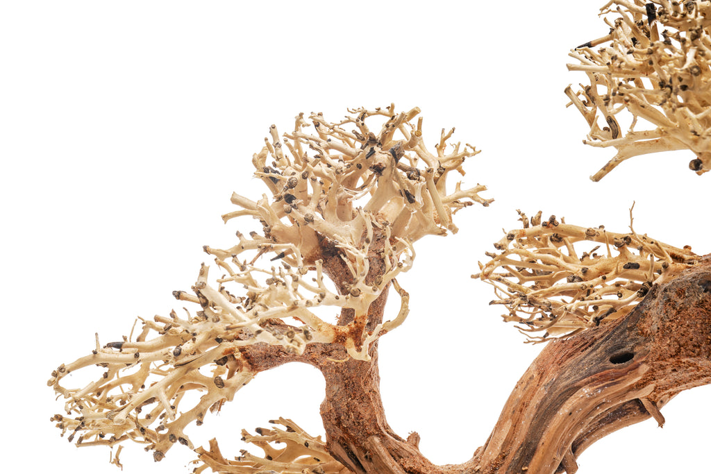 Aquarium Driftwood product image 24