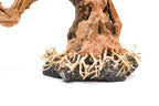 Aquarium Driftwood product image 26