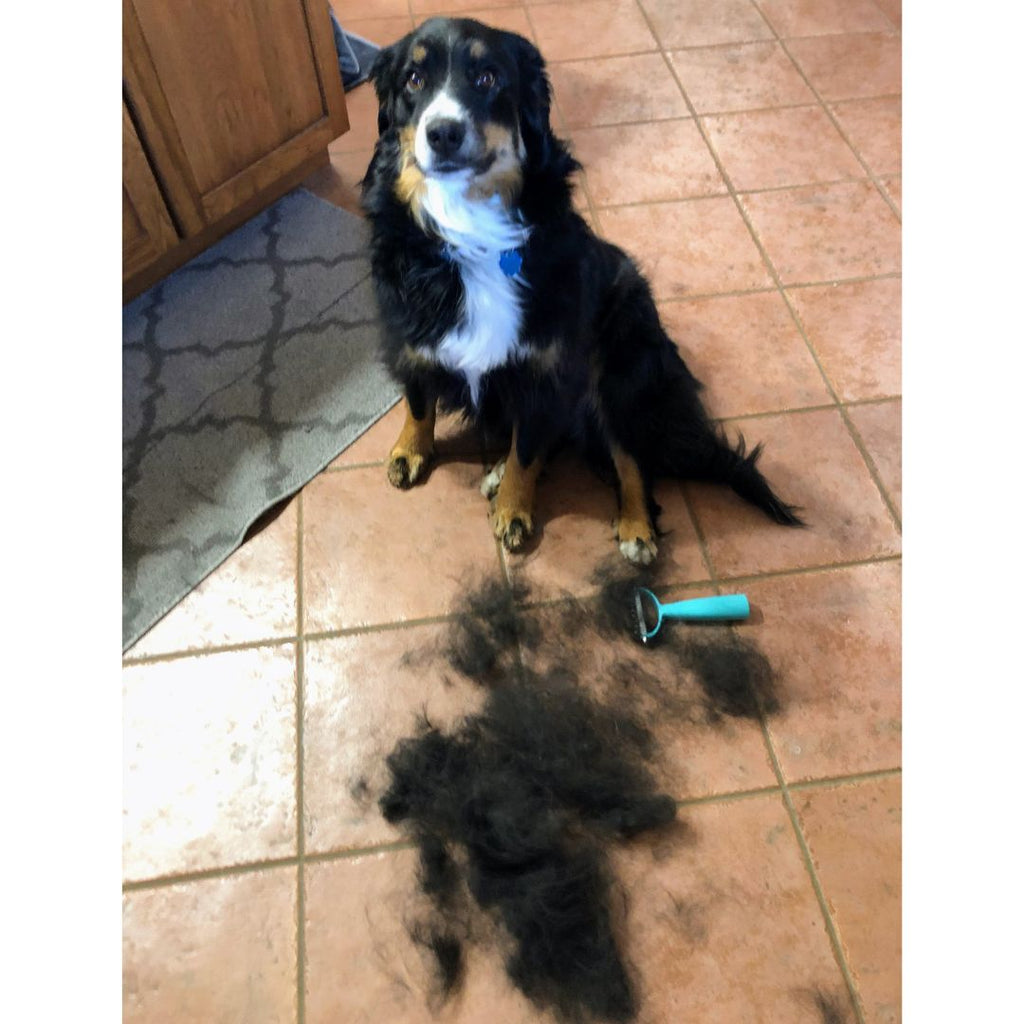 Double Sided Pet Deshedding Brush product image 3