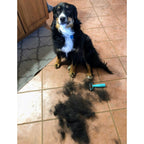 Double Sided Pet Deshedding Brush product image 3