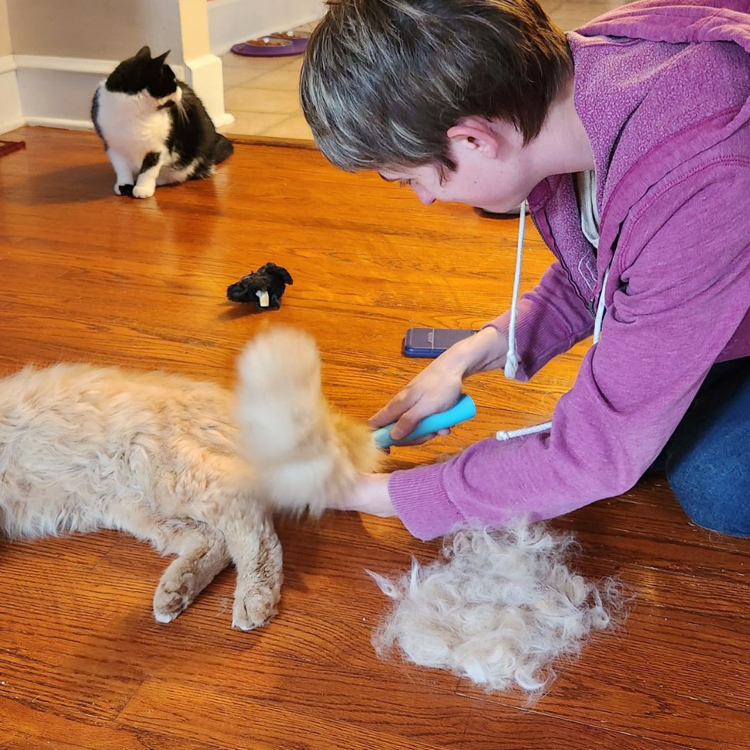 Double Sided Pet Deshedding Brush product image 6