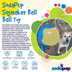 Squeaky Dog Ball product image 5