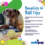 Squeaky Dog Ball product image 6
