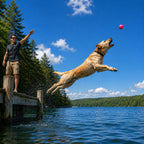 Dog Fetch Balls product image 2