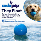 Dog Fetch Balls product image 6