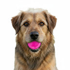 Dog Fetch Balls product image 10