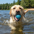 Dog Fetch Balls product image 11