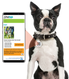 QR Pet ID Tag product image 3