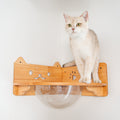 Corner Cat Wall Bubble Perch product image 1