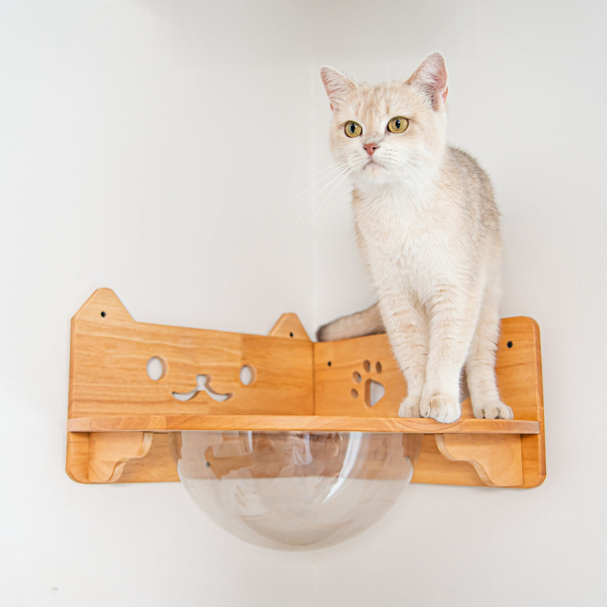 Corner Cat Wall Bubble Perch product image 1