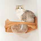 Corner Cat Wall Bubble Perch product image 3