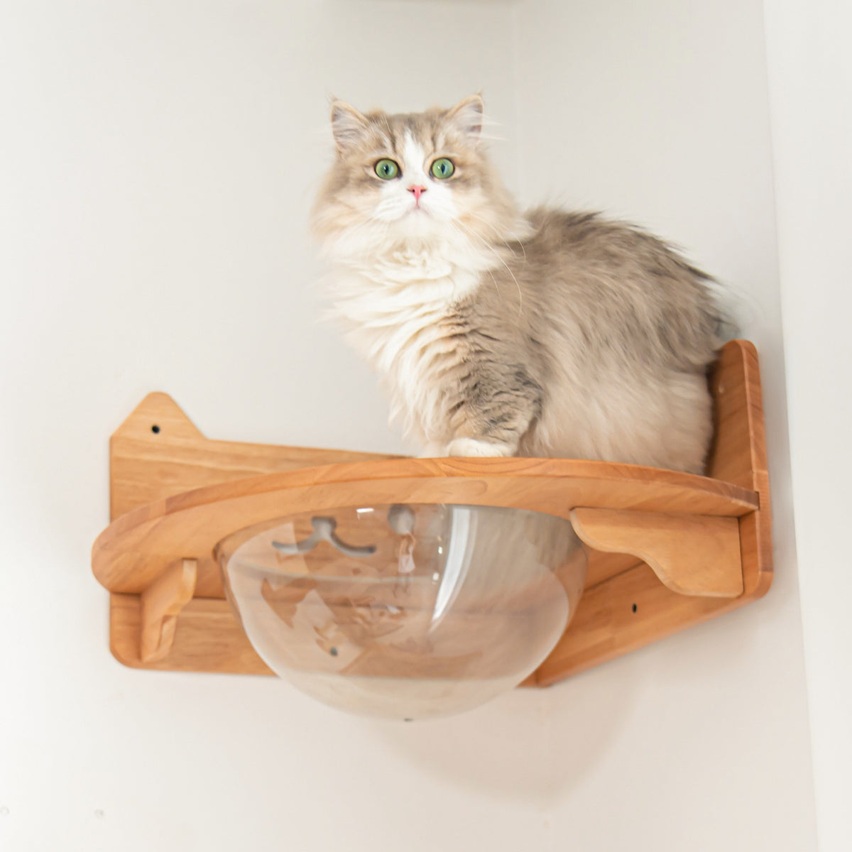 Corner Cat Wall Bubble Perch product image 3