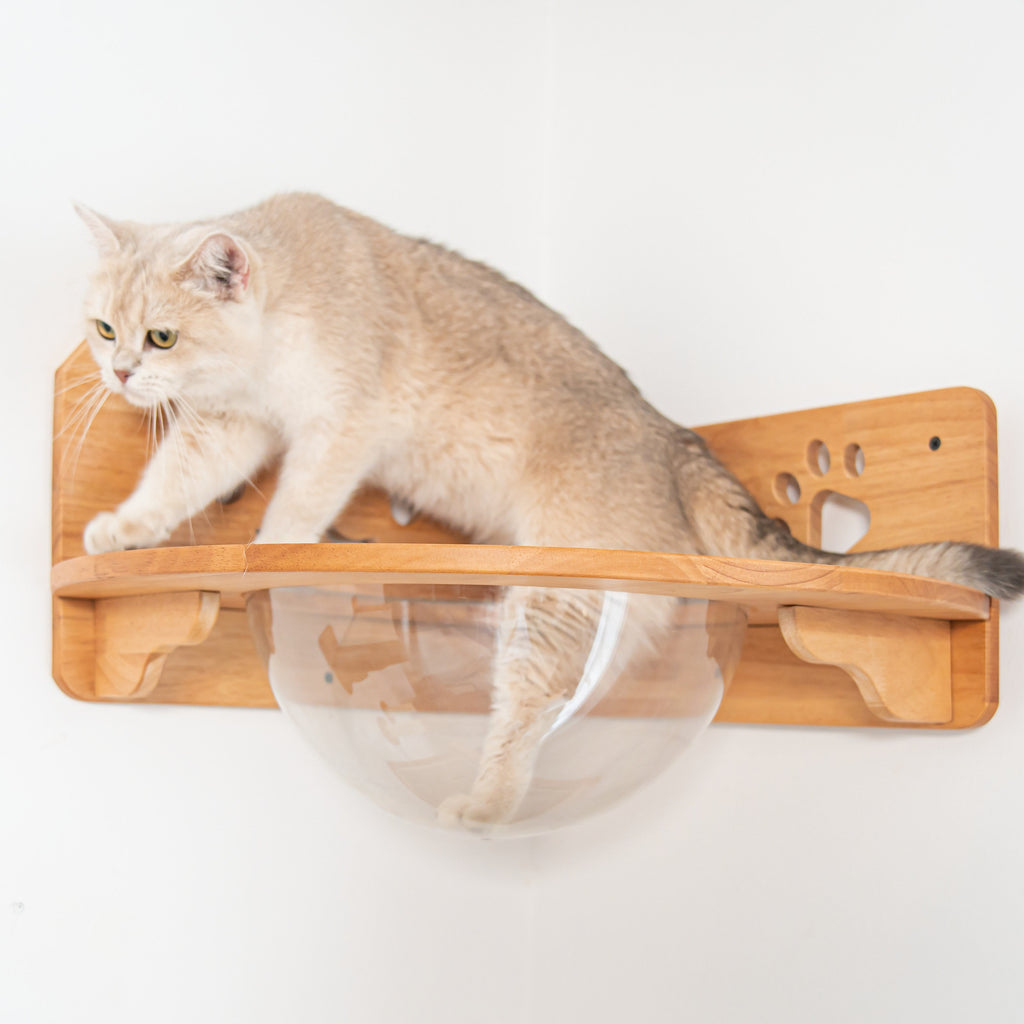 Corner Cat Wall Bubble Perch product image 4