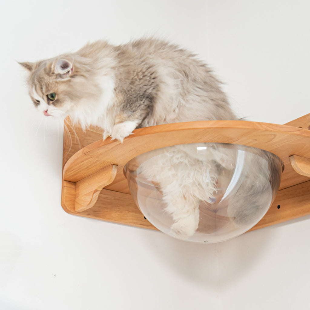 Corner Cat Wall Bubble Perch product image 5