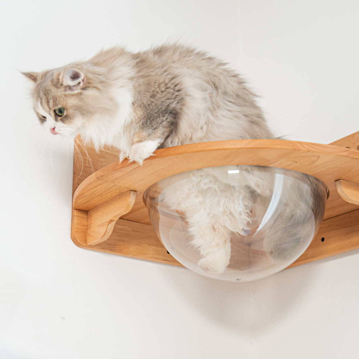 Corner Cat Wall Bubble Perch product image 5