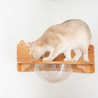 Corner Cat Wall Bubble Perch product image 6