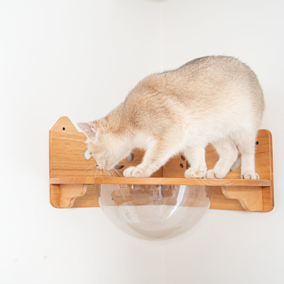 Corner Cat Wall Bubble Perch product image 6