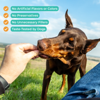 Dog Joint Supplement product image 3