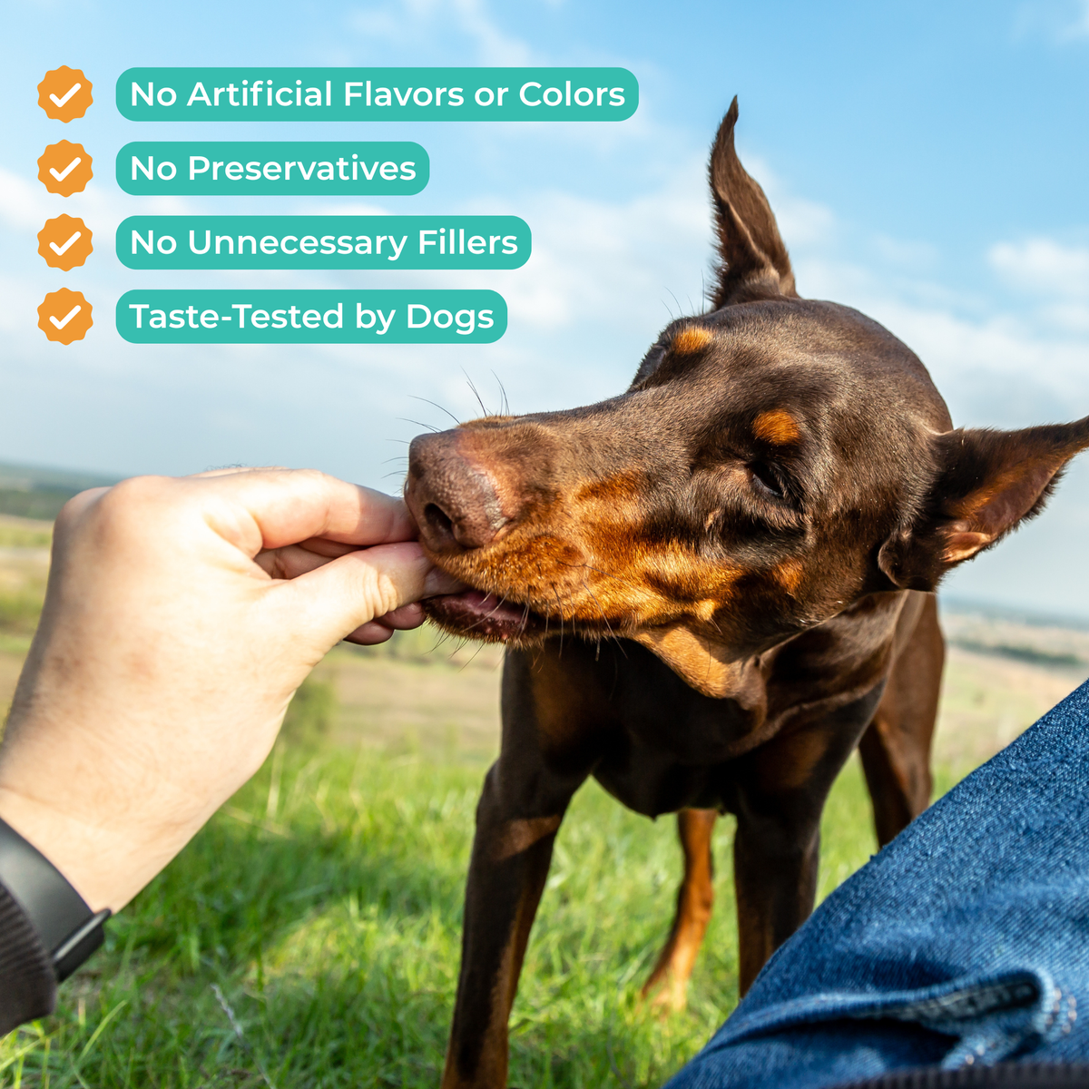 Dog Joint Supplement product image 3