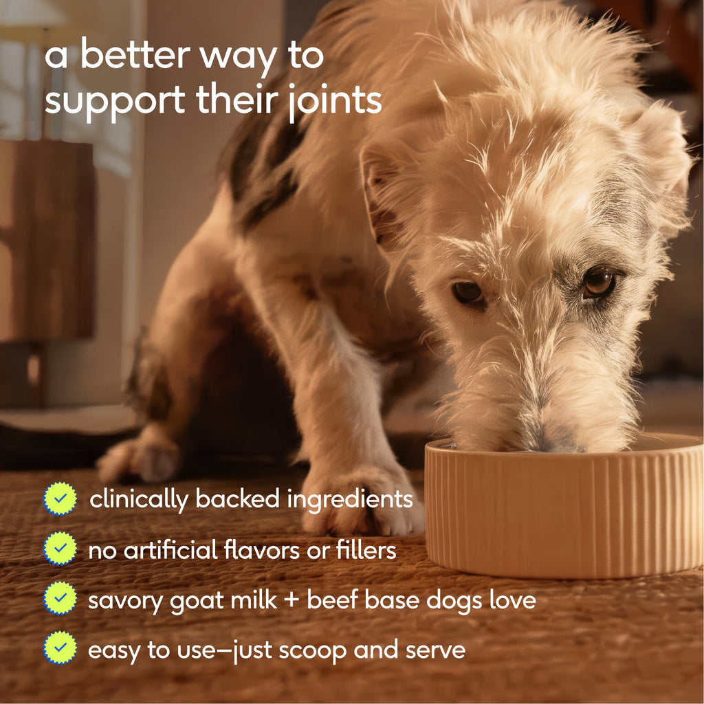 Dog Joint Supplement product image 2