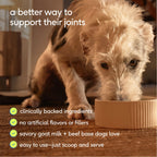 Dog Joint Supplement product image 2