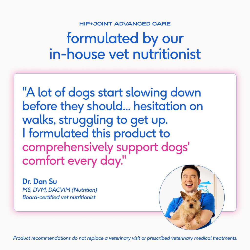 Dog Joint Supplement product image 7