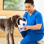 Dog Joint Supplement product image 12