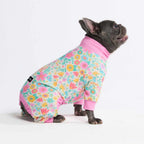 Dog Pajamas product image 46