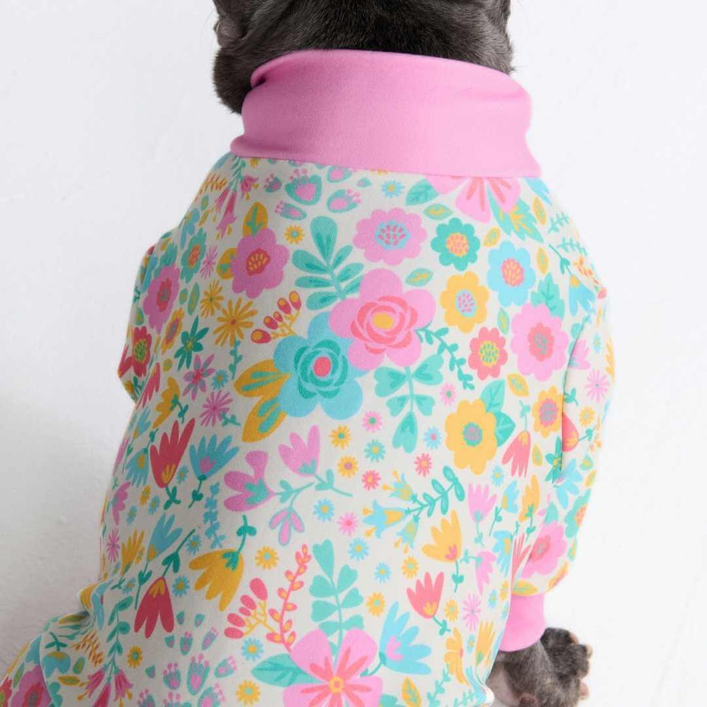 Dog Pajamas product image 48