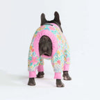 Dog Pajamas product image 49