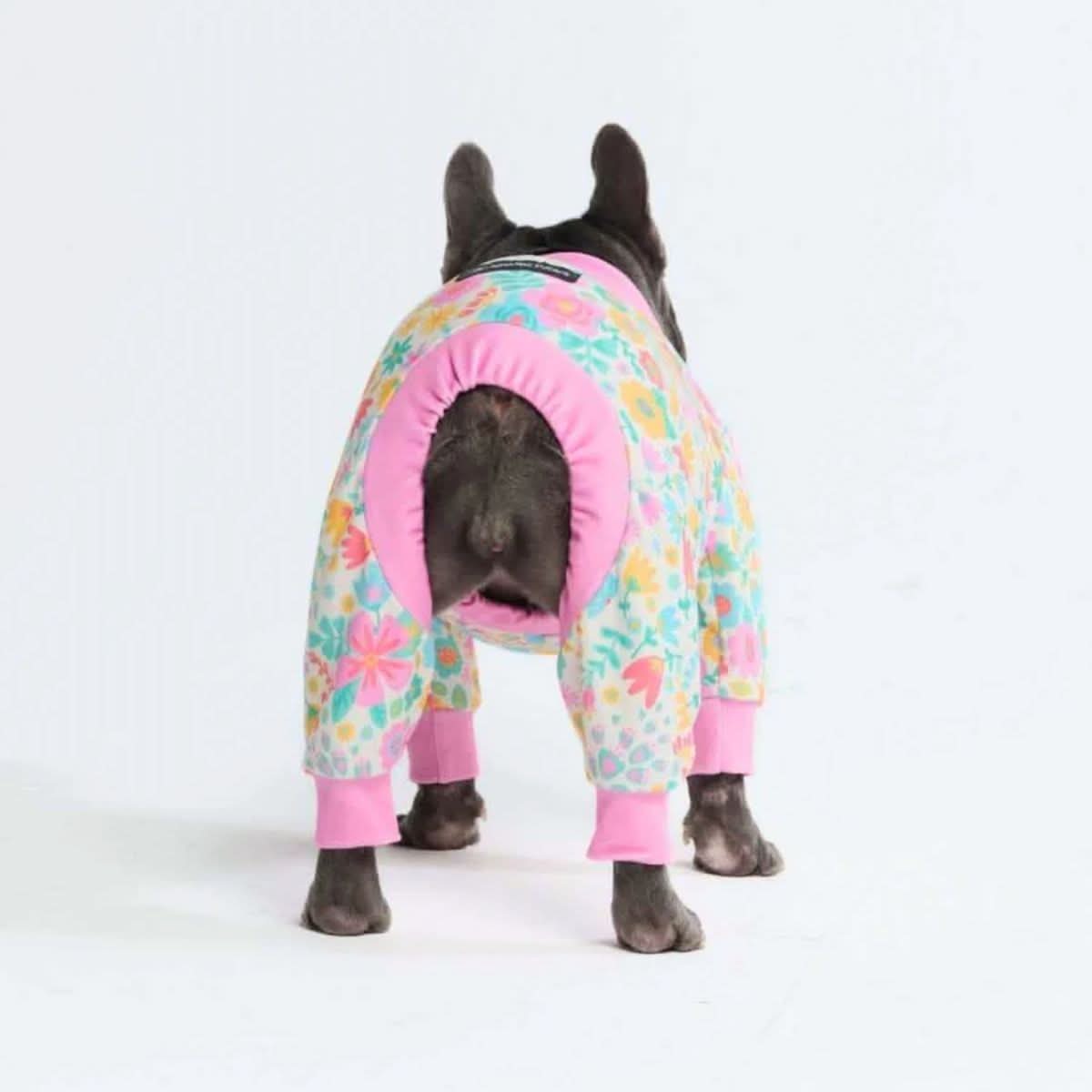 Dog Pajamas product image 49