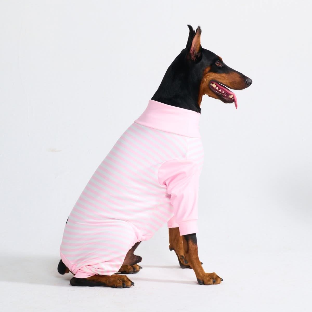 Dog Pajamas product image 52