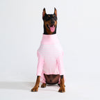 Dog Pajamas product image 54