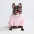 Dog Pajamas product image 56