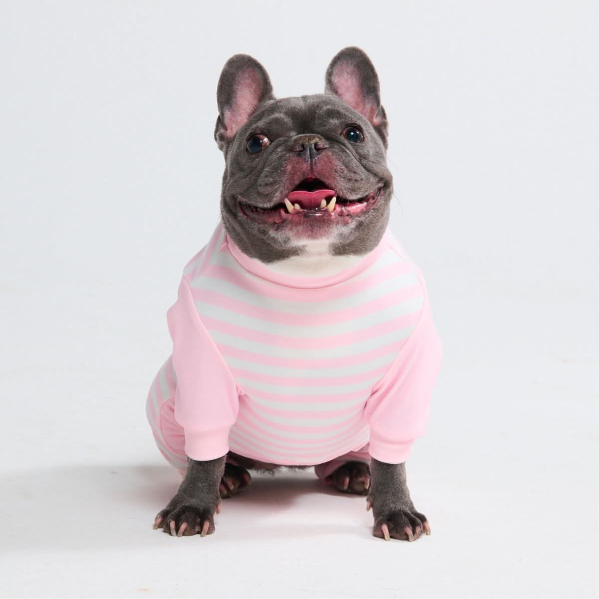 Dog Pajamas product image 56