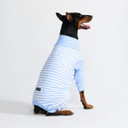 Dog Pajamas product image 58