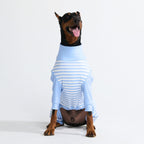 Dog Pajamas product image 59