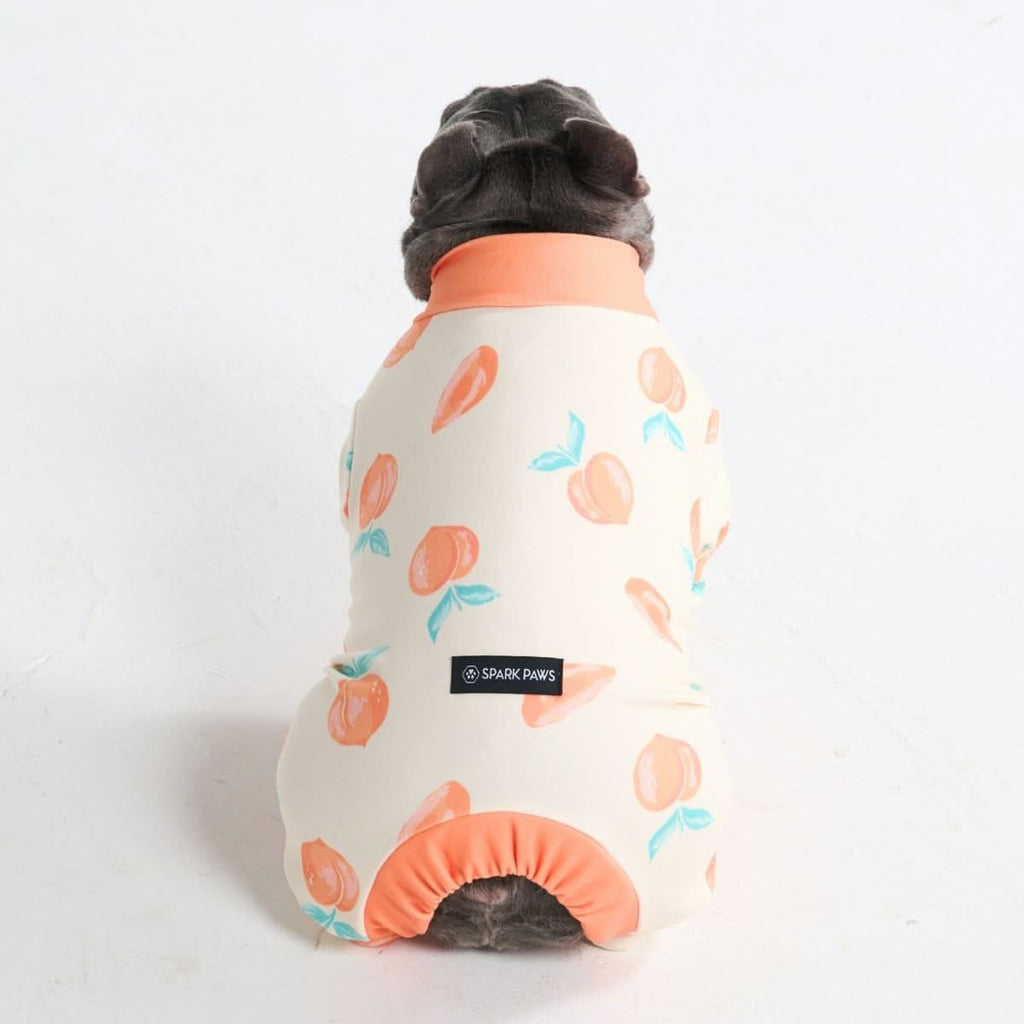 Dog Pajamas product image 65