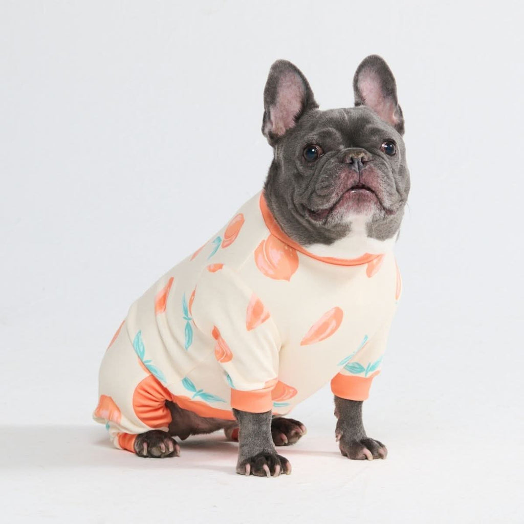 Dog Pajamas product image 66
