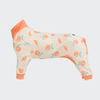 Dog Pajamas product image 67