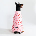 Dog Pajamas product image 71