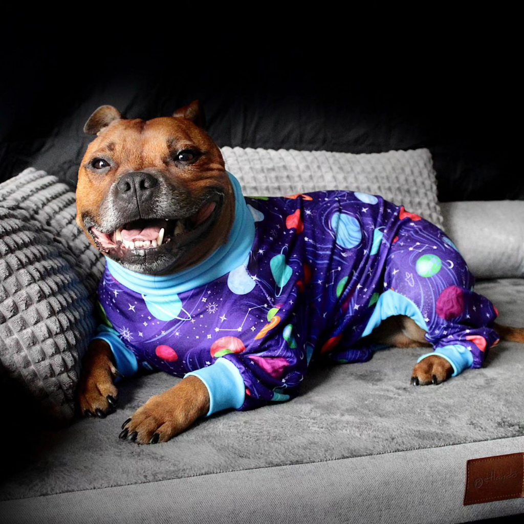 Planets Print Stretch Dog Pajamas product image 5