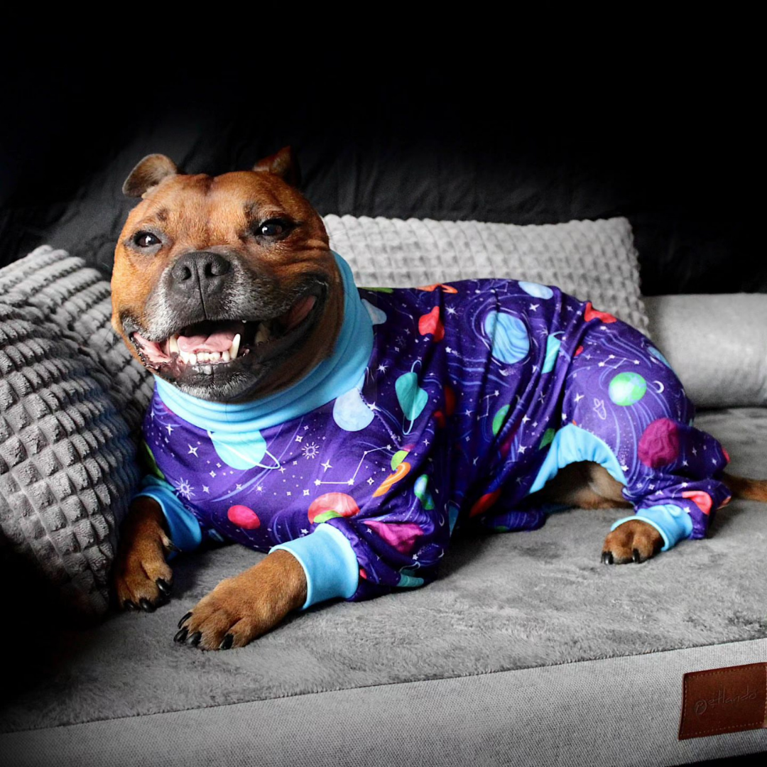 Planets Print Stretch Dog Pajamas product image 5