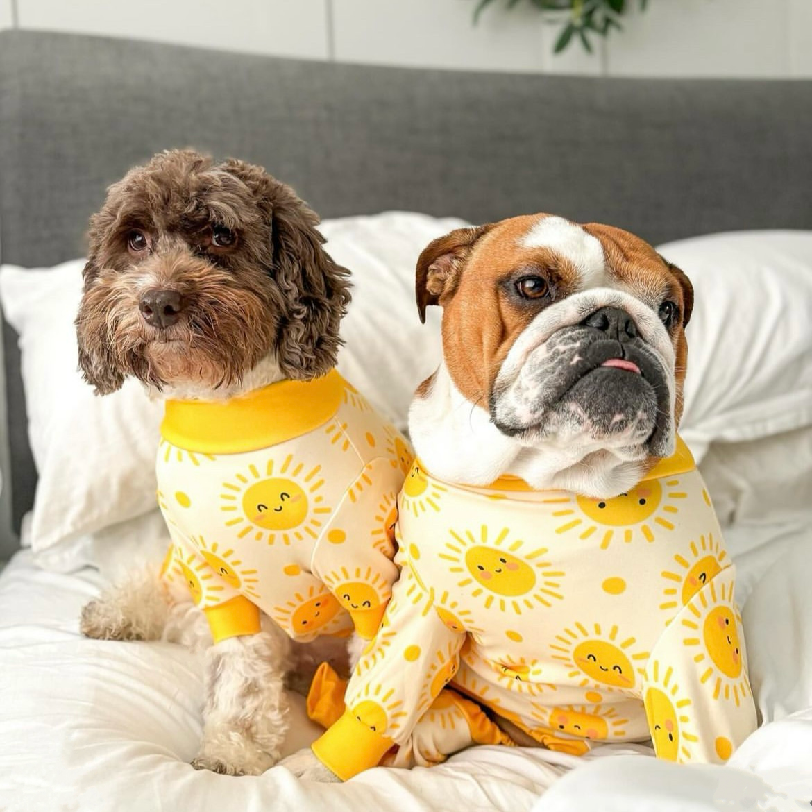 Dog Pajama product image 2