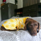Dog Pajama product image 5