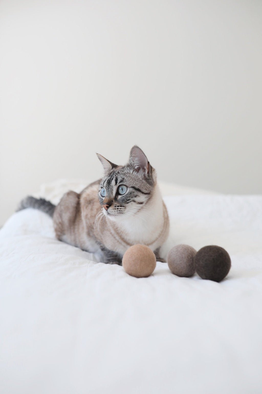 Cat Ball Toy product image 2